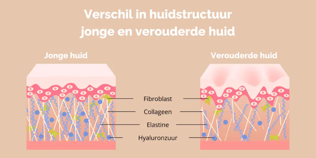 Deze afbeelding heeft een leeg alt-attribuut; de bestandsnaam is Rimpels-voorhoofd-huidstructuur-1024x512.png